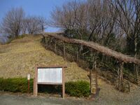 MinoHonjin008.jpg