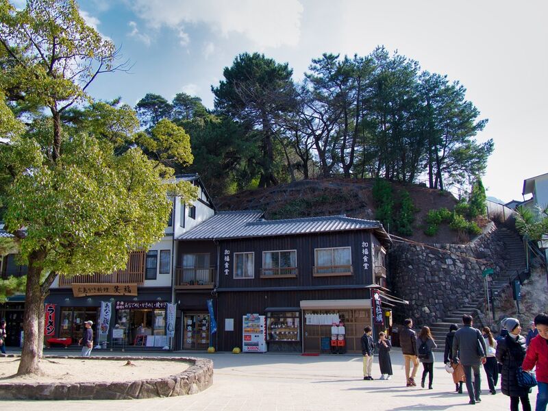 File:Miyao12.jpg