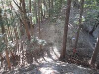 Ougidairayamajou (2).JPG