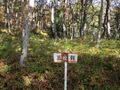 Thumbnail for version as of 14:08, 17 May 2024