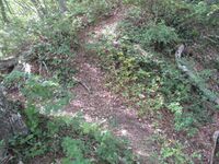 AzumiSarugajou (5).jpg