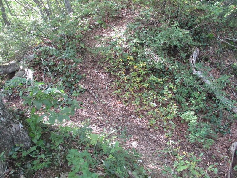 File:AzumiSarugajou (5).jpg