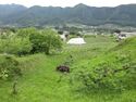 KaiNakamakijou (18).JPG