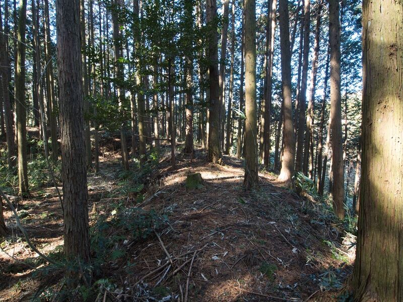 File:Kokashingu15.jpg
