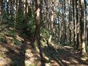 Kokashingushi5.jpg