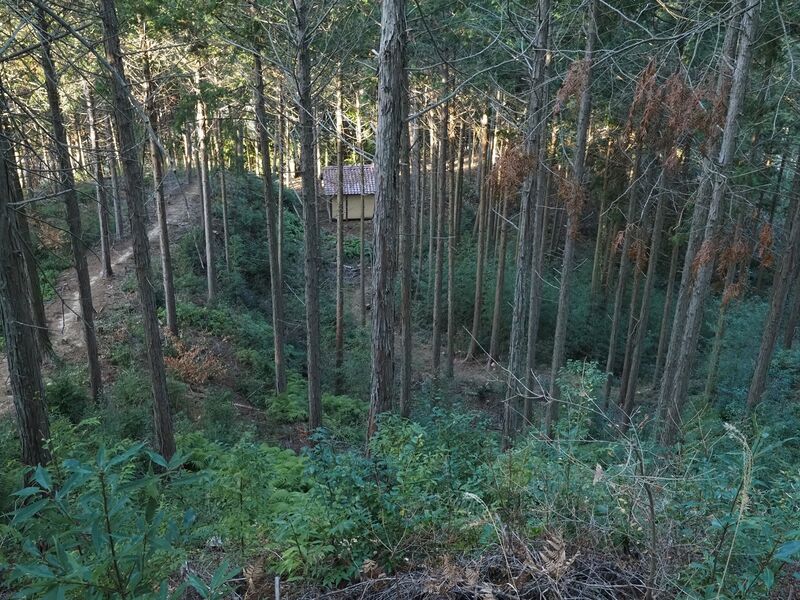 File:Matsudairajo17.jpg