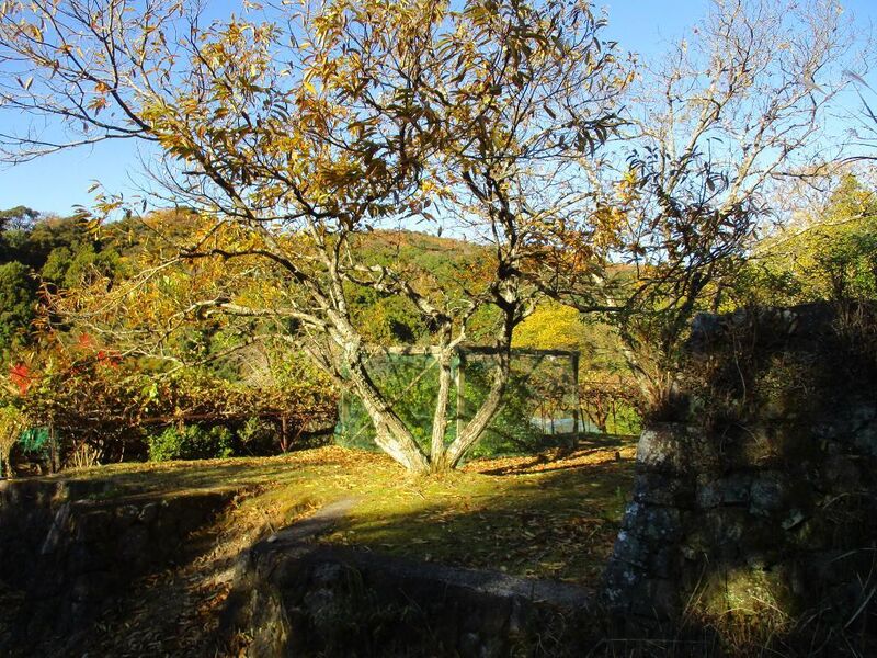 File:MikawaDojou (5).jpg