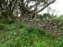 Nanzan Castle Ray 4.jpg