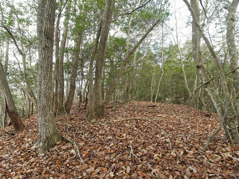 File:Shuuchi2.jpg