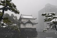 Snow1.jpg