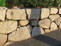 SuzakiDaiba (7).JPG
