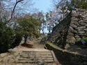 Tokushima19.jpg