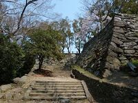 Tokushima19.jpg