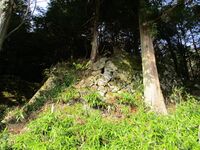 AnrakujiYakata (7).JPG