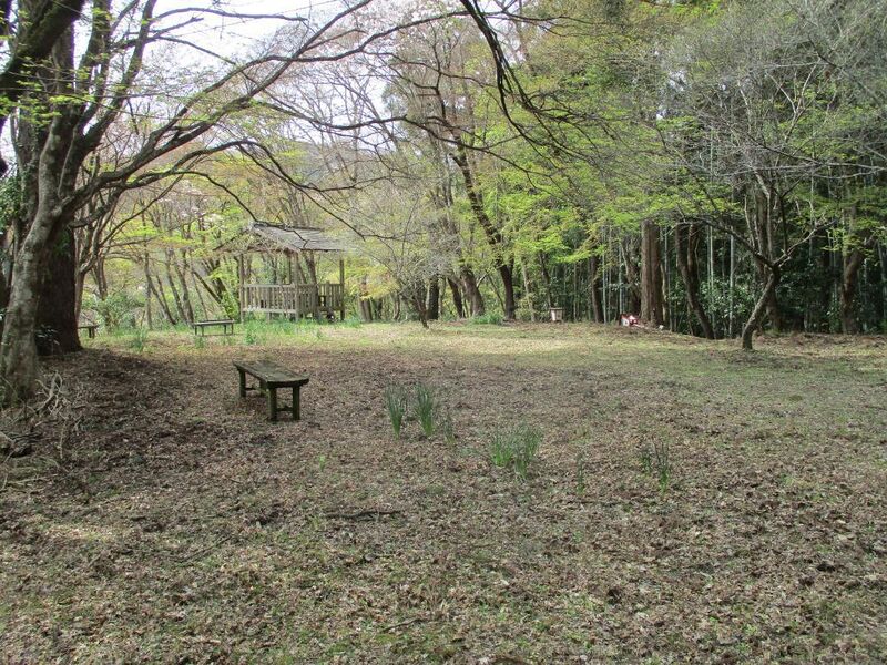 File:AsukeDaikannonjou (12).jpg