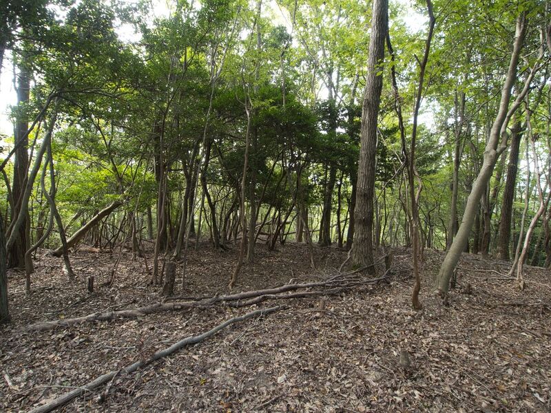 File:Kirarazaka8.jpg