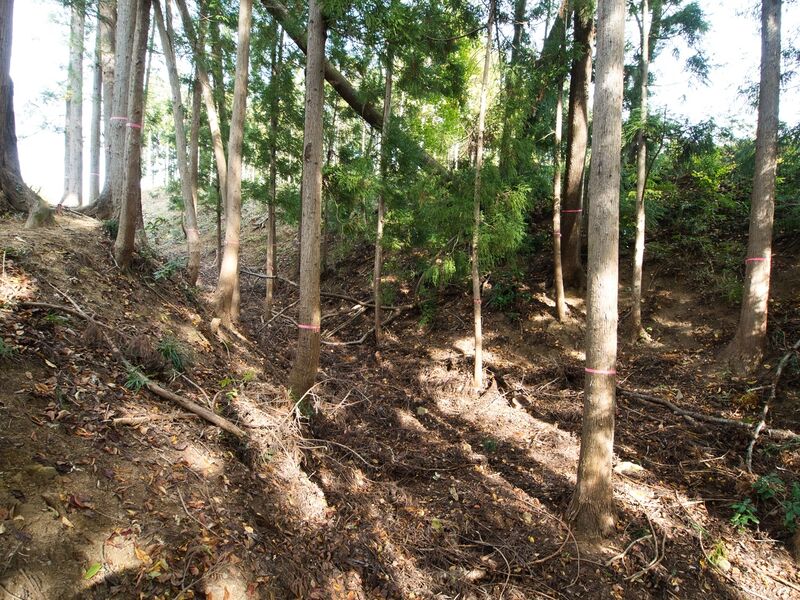 File:Koori32.jpg