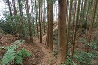 Matsuida26.jpg