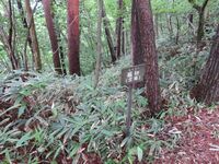 Matsukura (33).JPG