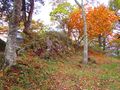 Thumbnail for version as of 21:34, 22 December 2020
