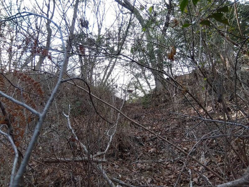 File:MusashiHinoharajou (4).jpg