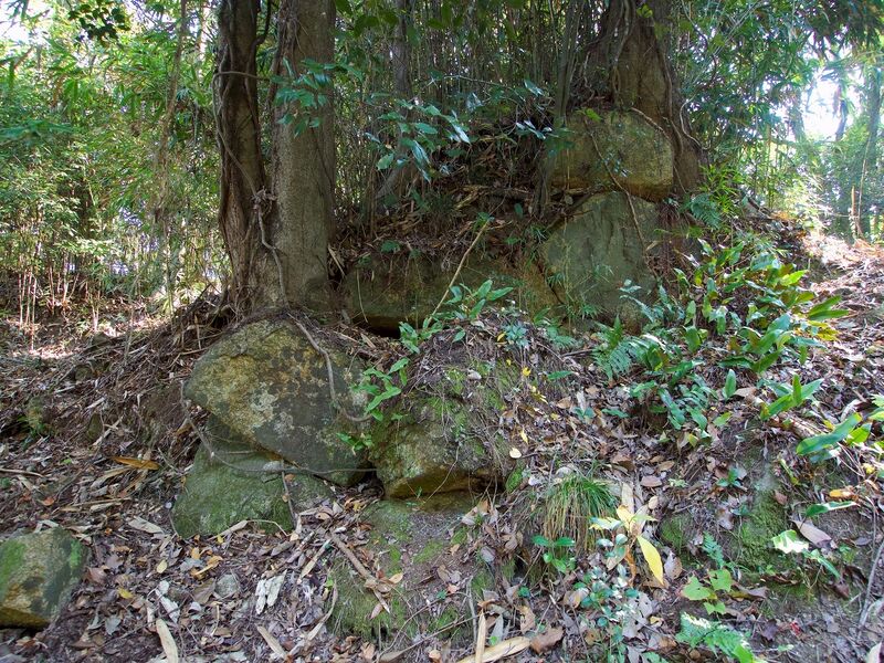 File:Niitakayama36.jpg