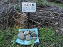 Odawara sogamae24.jpg