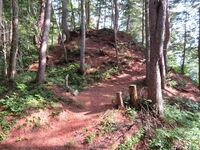 Takaharasuwa (9).JPG