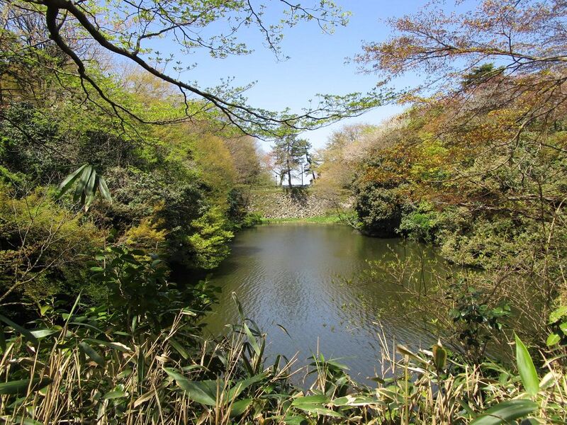 File:ARTTakaokajou10.jpg