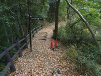 Eboshigata10.jpg