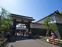 Edo83.jpg