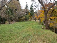 Hiyama8.jpg