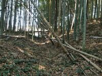 Inayashiki17.jpg