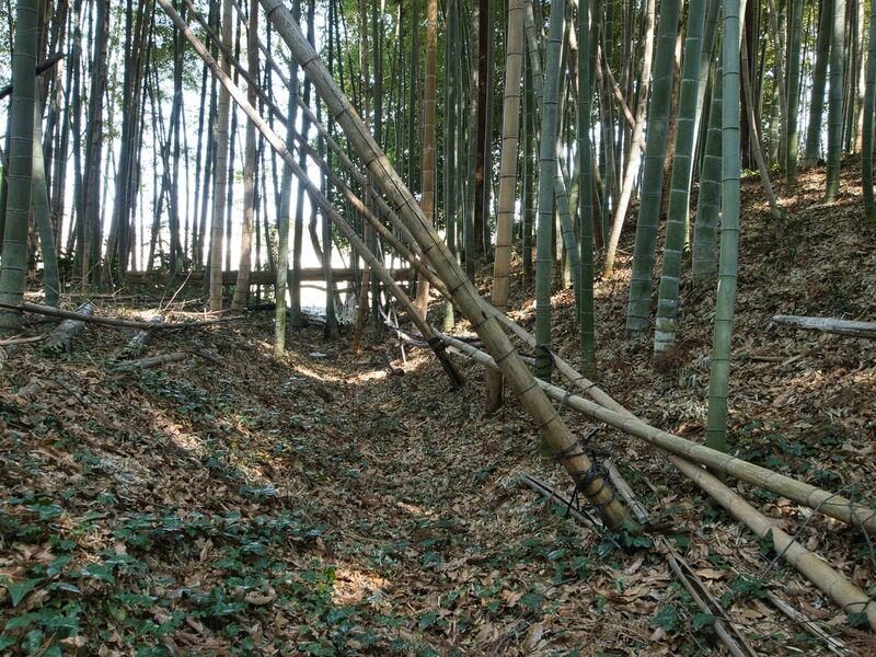 File:Inayashiki17.jpg