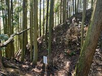 Kogaminekyoto22.jpg