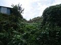 Thumbnail for version as of 04:08, 21 October 2021