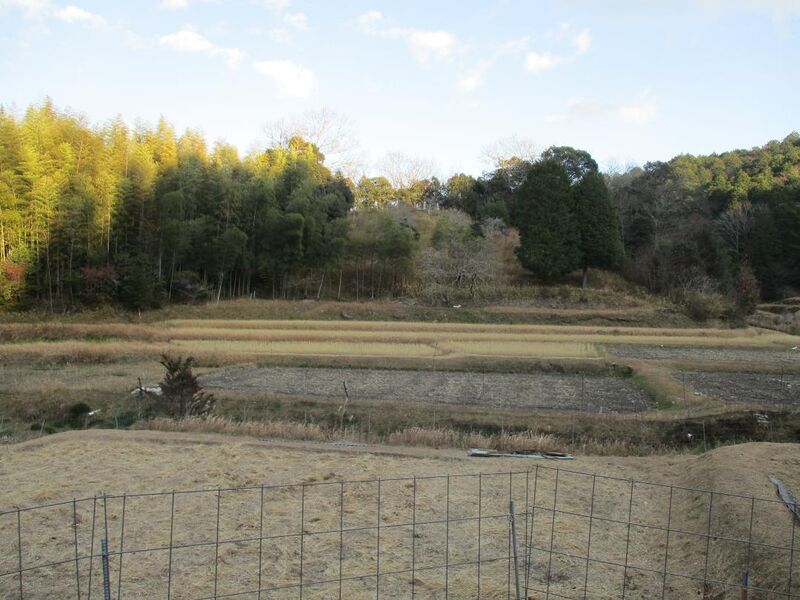 File:MikawaOoinojou (5).jpg