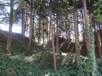 MinamiKumai01.JPG