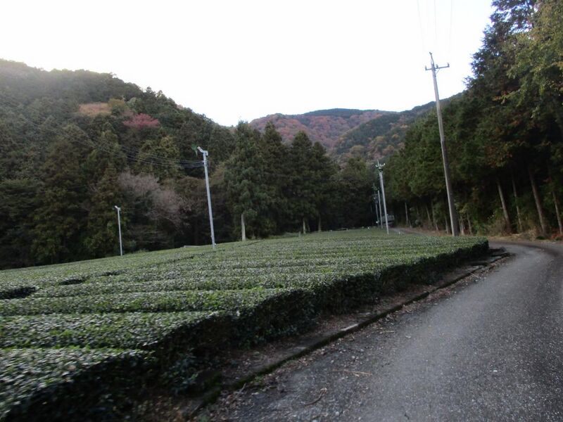File:MinoKoderajou02.jpg