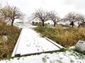 Thumbnail for version as of 10:28, 24 January 2021