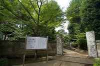 Setagaya13.jpg