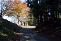 Yonezawa16.jpg