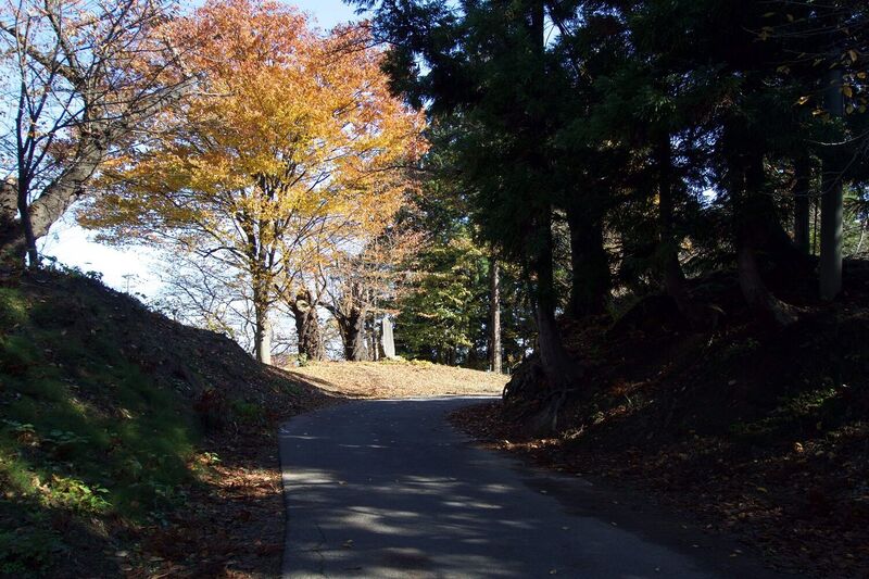 File:Yonezawa16.jpg