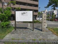IMG 8995.JPG
