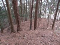 Iinawajou (12).JPG