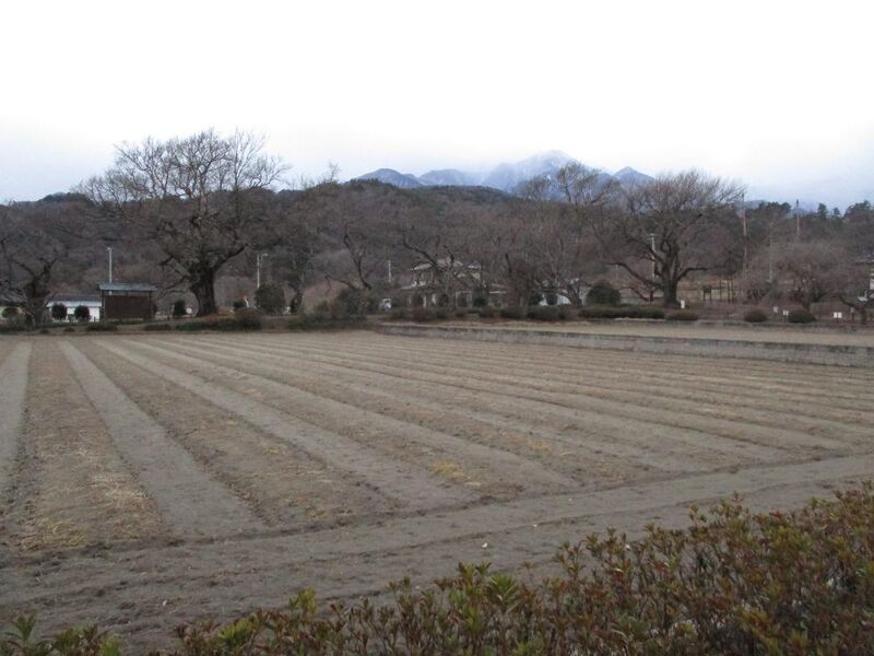 File:JissoujiYakata023.jpg
