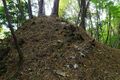 Thumbnail for version as of 13:29, 24 June 2017