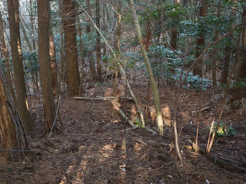 File:Shizuharanorth16.jpg