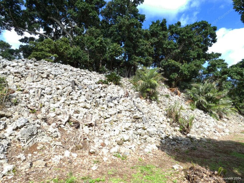 File:Chinaha Castle RaymondW 801.jpg