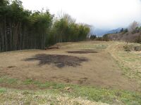 Haranomotojou (1).JPG